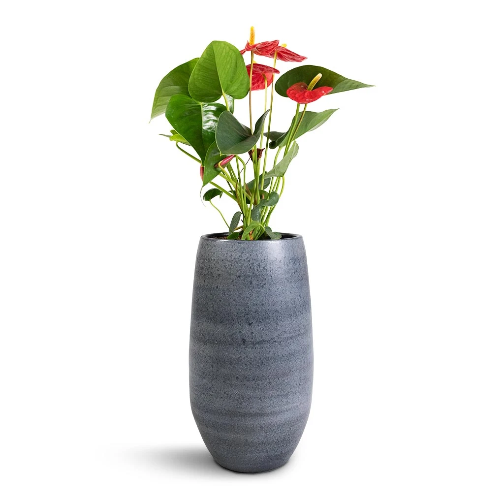 Esra Plant Vase - Mystic Grey - Image 3