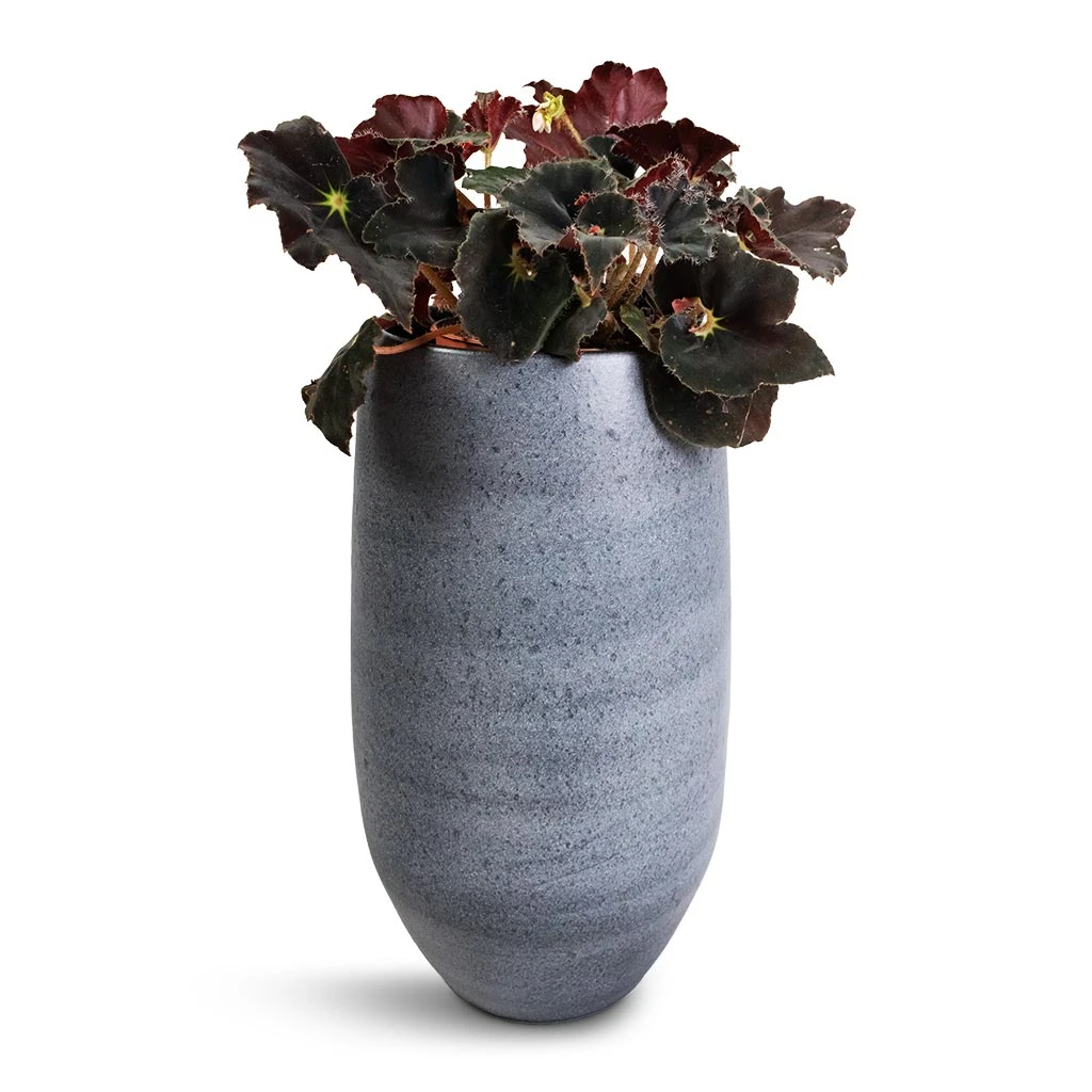 Esra Plant Vase - Mystic Grey - Image 5