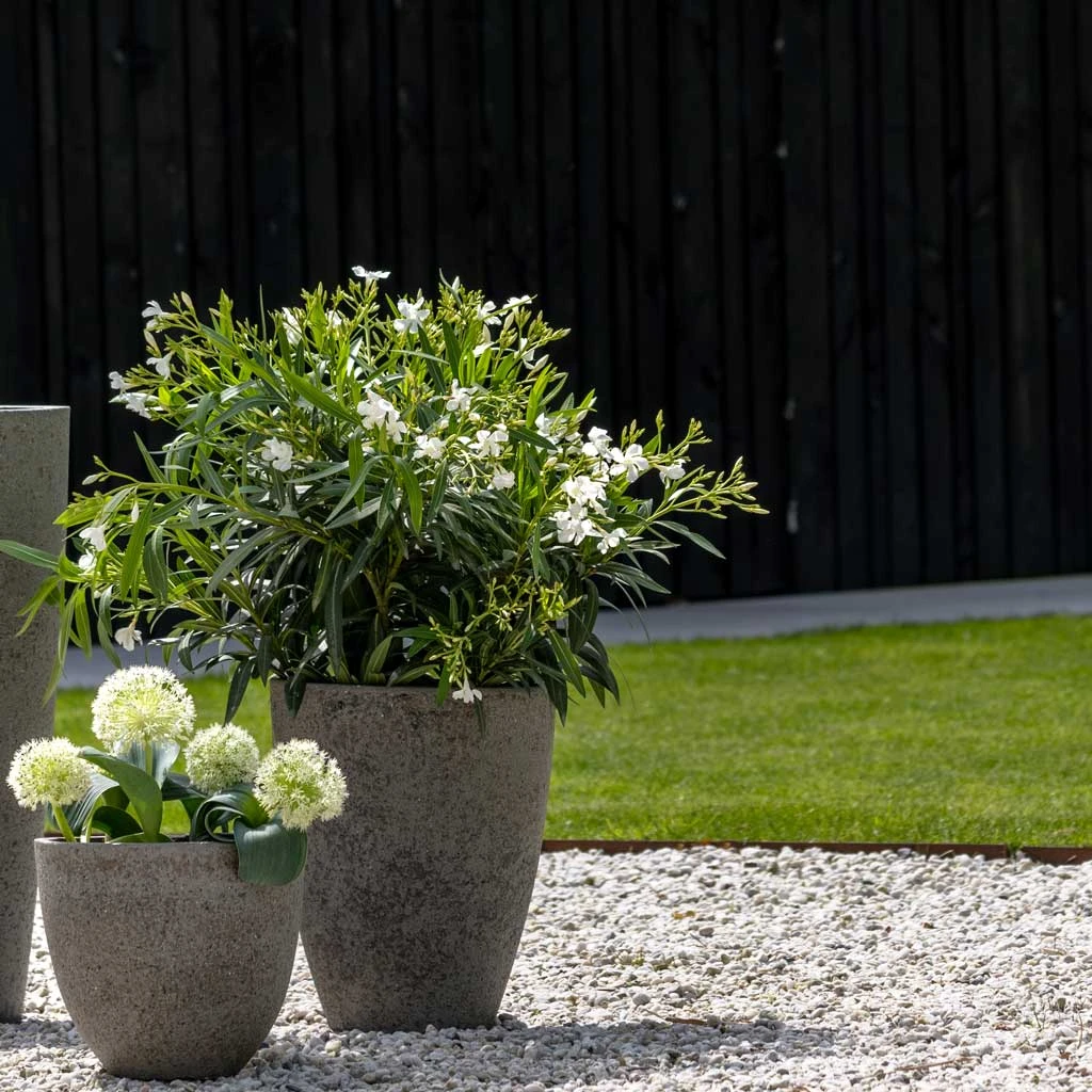 Ben Cement & Stone Planter - Granite Grey - Image 2