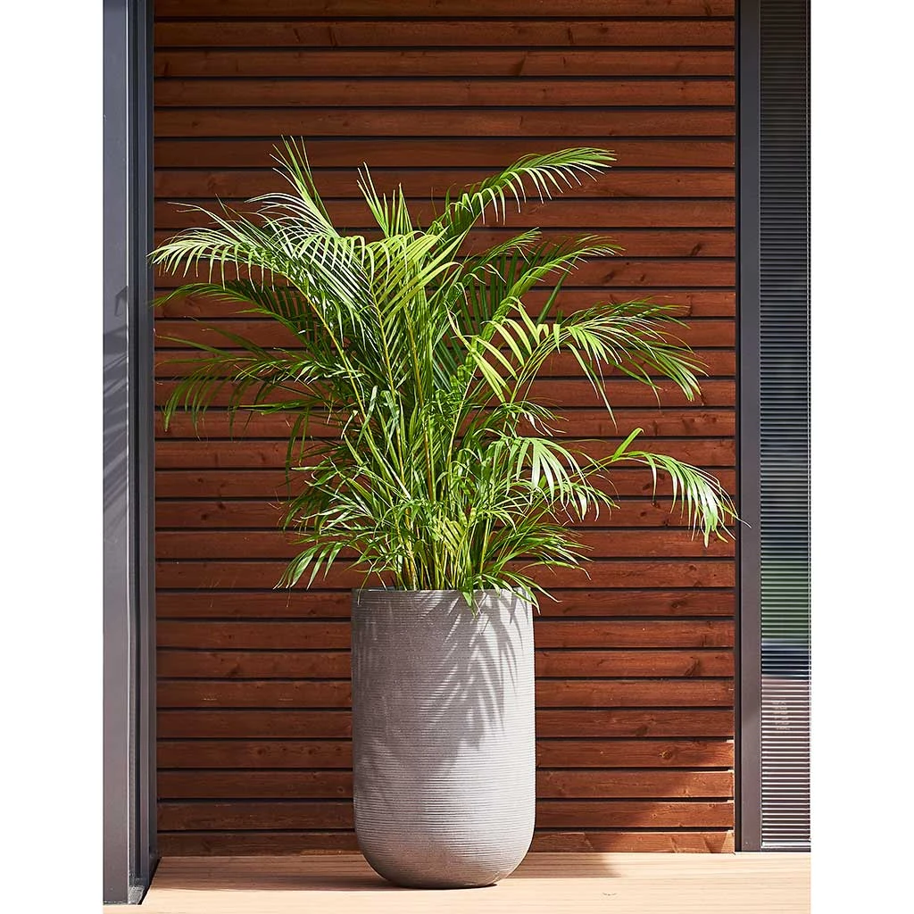 Cody Plant Vase - Ridged Cement - Image 2