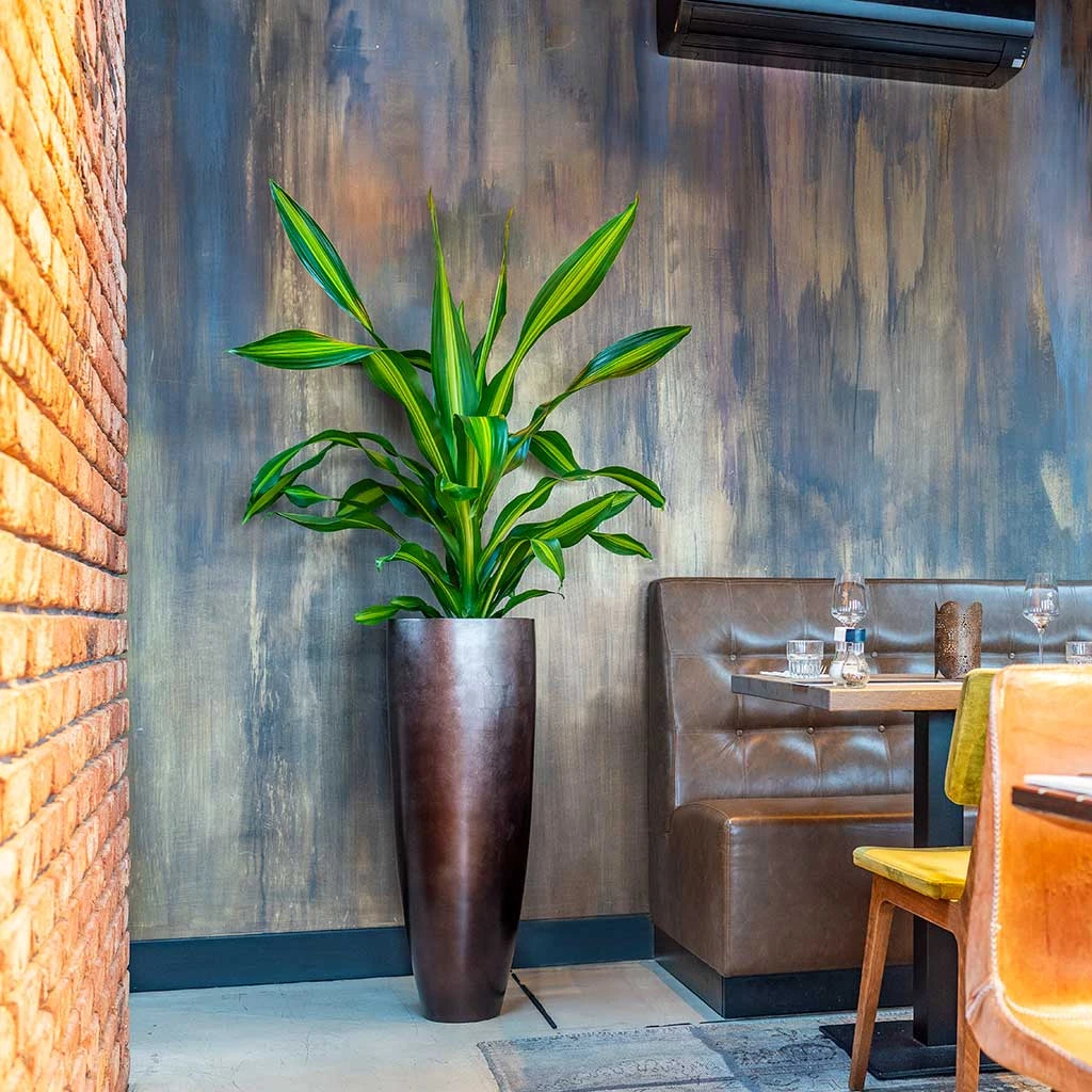 Metallic Partner Planter - Matt Coffee - Image 2