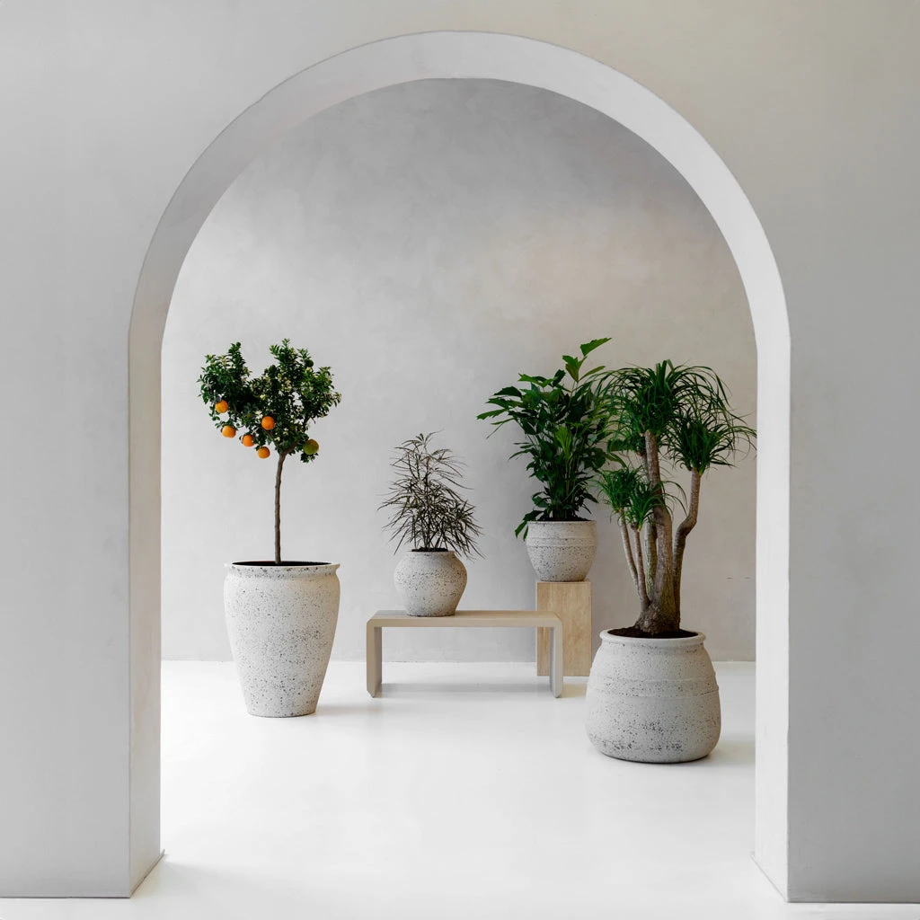 Artemis Mediterranean Planter - Chalk White - Image 2