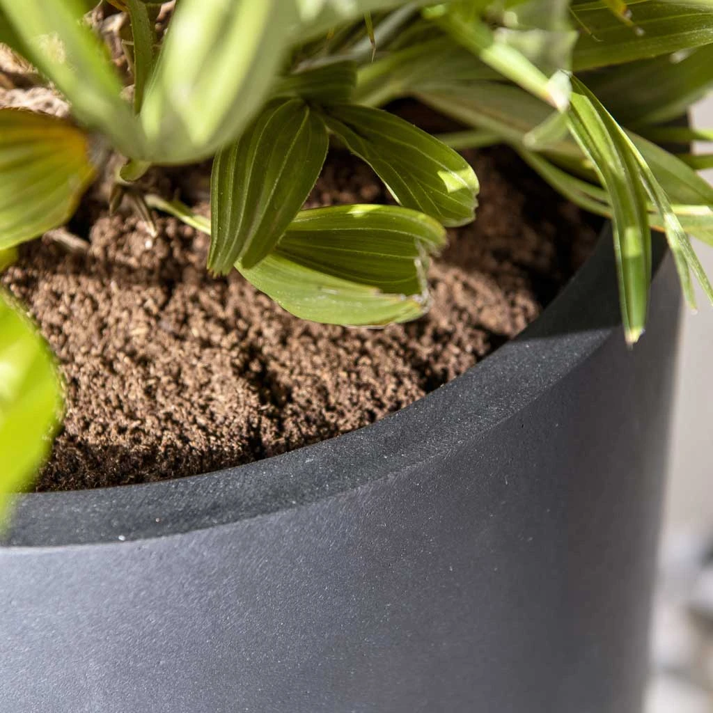 Nax Natural Tall Planter - Black - Image 6